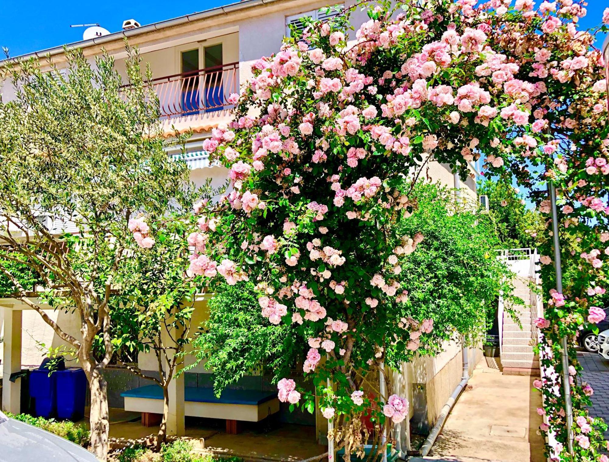 Cala Biograd Na Moru